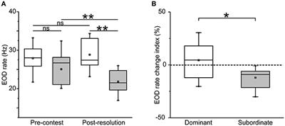 Status-Dependent Vasotocin Modulation of Dominance and Subordination in the Weakly Electric Fish Gymnotus omarorum